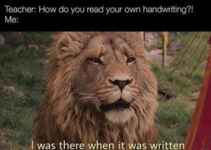 Stupid Bar Memes hff3446c8e67