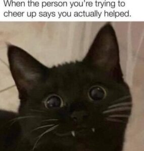 Stupid Bar Memes hff3bfda76f2