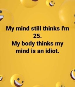 Stupid Bar Memes hff6e31d19d4