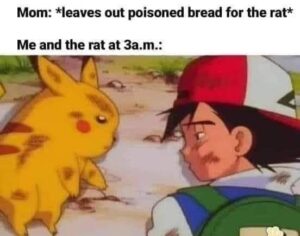Stupid Bar Memes hff926a6b333