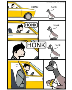 Stupid Bar Memes hnhy1da5rsn61