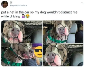 Stupid Bar Memes humorstweets4s1