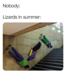Stupid Bar Memes ifsyouslaughsyouslosesthatssthesgames25sphotoss5