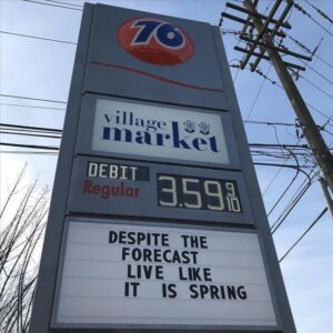 Stupid Bar Memes liveslikesitssspring