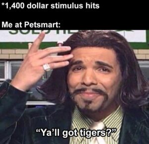 Stupid Bar Memes meawhenamyastimulusacheckahits