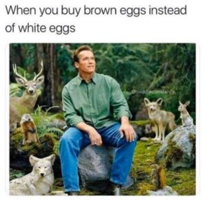 Stupid Bar Memes middleaclassafancyamemes5
