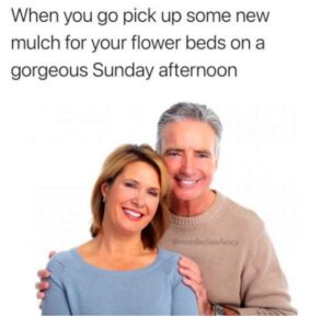 Stupid Bar Memes middleaclassafancyamemes6