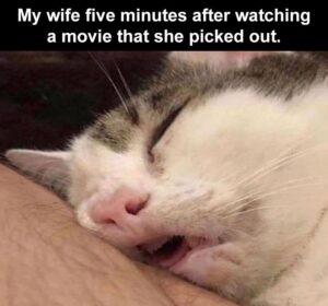 Stupid Bar Memes myawifeafiveaminutesaintoawatchingaaamovieathatasheapickedaout