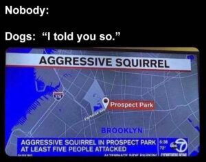 Stupid Bar Memes pleasesnosonestellsmysdog