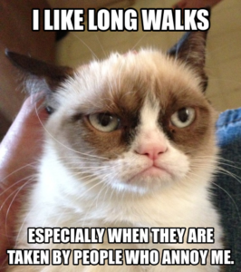 Stupid Bar Memes proxy image 1