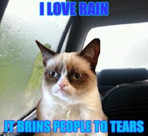 Stupid Bar Memes proxy image 12