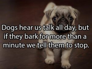 Stupid Bar Memes showersthoughtss5s1