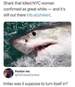 Stupid Bar Memes srss