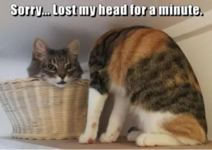 Stupid Bar Memes ssssRandomnesssHumors031921s25
