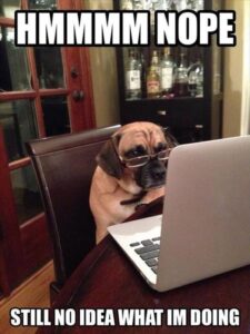 Stupid Bar Memes the animal memes 15