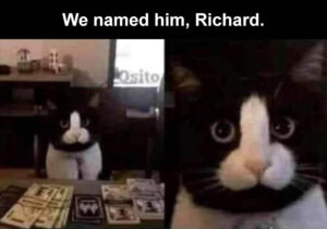 Stupid Bar Memes weacallahimaRichard