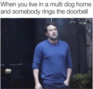 Stupid Bar Memes whenayoualiveainaaadogahouse
