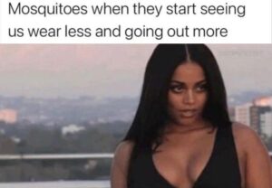 Stupid Bar Memes whenstheysseesyou