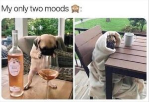Stupid Bar Memes whensyoushavestwosmoodss1