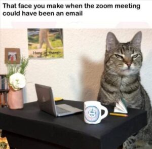 Stupid Bar Memes whensyousmakesasface