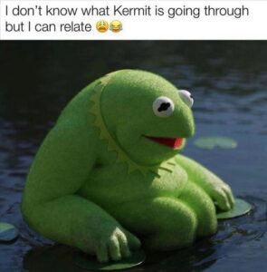Stupid Bar Memes whensyousseeskermitsnow