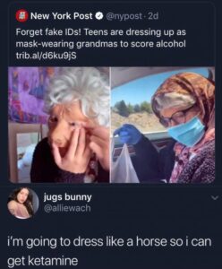 Stupid Bar Memes xehjkyrdq0o61