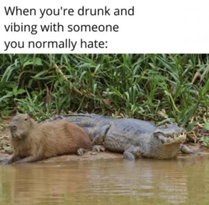 Stupid Bar Memes youslaughsyouslosessimples31sphotoss9