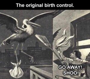Stupid Bar Memes yys2s2s1