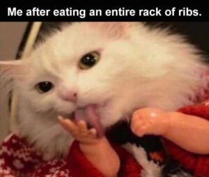 Stupid Bar Memes yys5s3