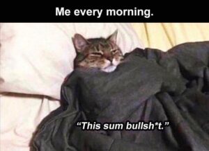 Stupid Bar Memes yza16a1