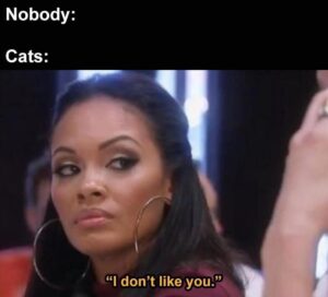 Stupid Bar Memes yza18a1
