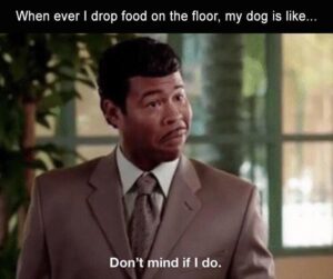 Stupid Bar Memes z dumpaday memes 504