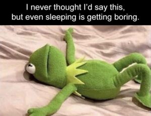 Stupid Bar Memes z dumpaday memes 512