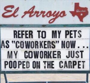 Stupid Bar Memes z dumpaday memes 654