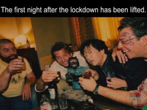 Stupid Bar Memes zaaa30a1