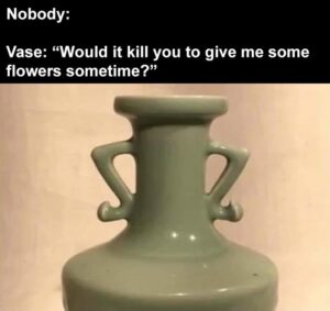 Stupid Bar Memes zsbarsmemess10s1