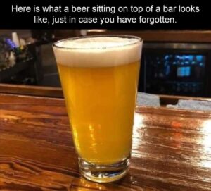 Stupid Bar Memes zsbsmemess33s7