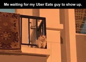 Stupid Bar Memes zsbsmemess45s1