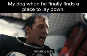Stupid Bar Memes zsbsmemess58s1