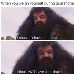 Stupid Bar Memes zsbsmemess68