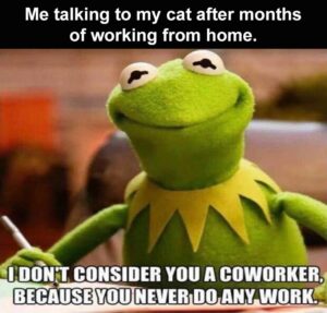 Stupid Bar Memes zsbsmemess6s8