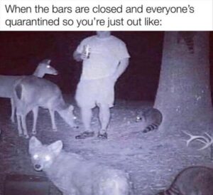 Stupid Bar Memes zsbsstoutss576
