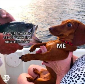 Stupid Bar Memes zsss113