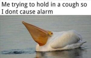 Stupid Bar Memes zsssmemess18s6