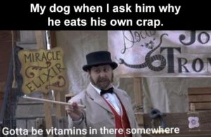 Stupid Bar Memes zsssmemess25s8