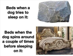 Stupid Bar Memes zsssmemess37s4