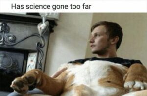 Stupid Bar Memes zsssmemess88s5