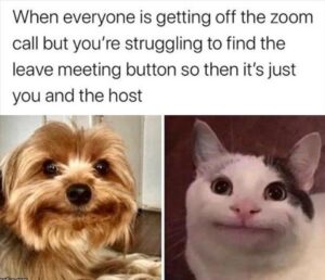 Stupid Bar Memes zssssbss53s10