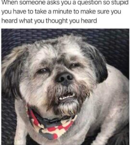Stupid Bar Memes 0b1e4dc4bd135fbc