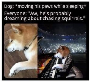 Stupid Bar Memes 14120703f1cf16b6